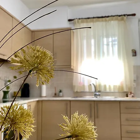 Appartement Soureal